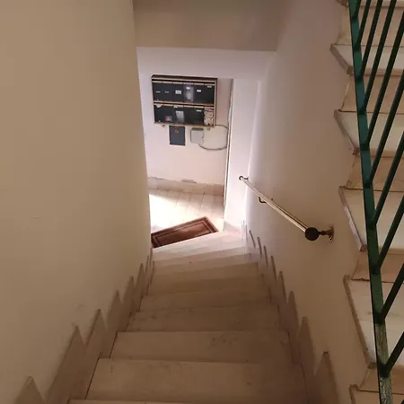 Secret Nest By World *